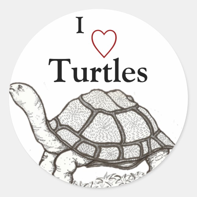 Autocollant tortue (Devant)