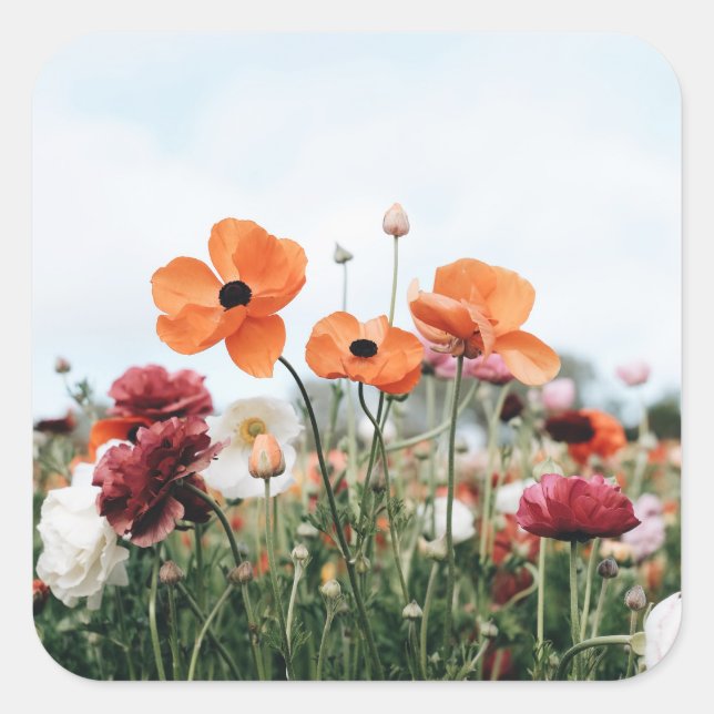 Autocollant Trio de Fleurs (Devant)