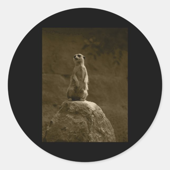 Autocollant vertical Meerkat Valencia Tint (Devant)