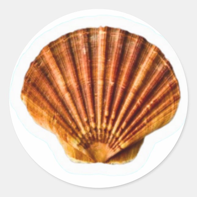 Autocollant vibrant coquille Saint-Jacques orange, (Devant)