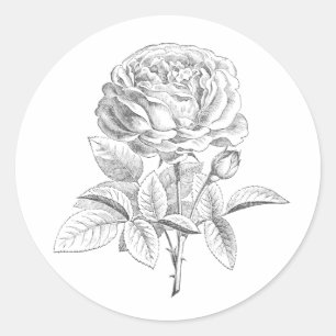 Autocollant vintage à fleurs noir et blanc rose