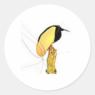 Autocollant vintage oiseau de paradis à douze fils