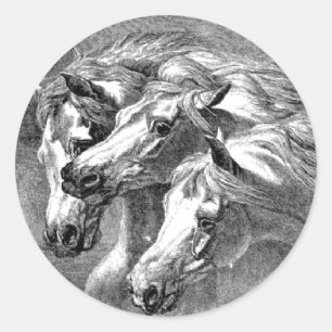 Autocollant vintage Pharoah Horse Illustration