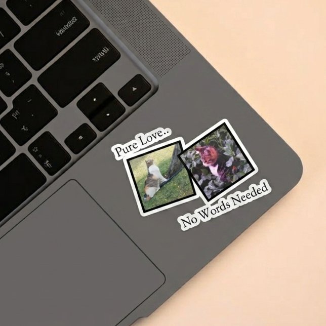 Autocollant vinyle personnalisable avec photo d'an (Fully customizable vinyl sticker with photos for pet lovers)
