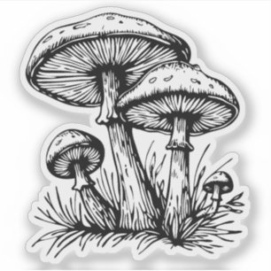Autocollant vinyle pour champignons