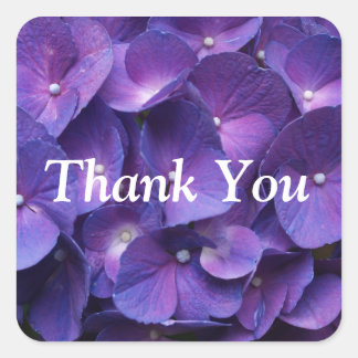 Autocollant violet Viollet Hydrangea ThankYou