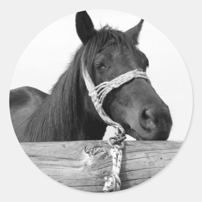 Autocollants (Devant)