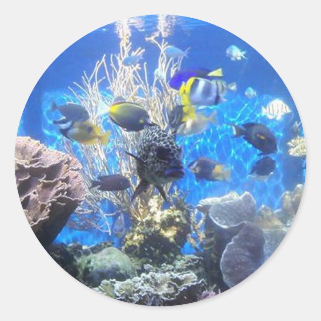 autocollants (Devant)