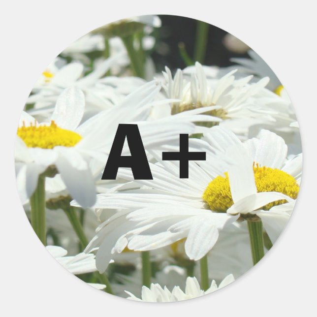 Autocollants A+ Élèves Niveau Enseignants École Da (Devant)