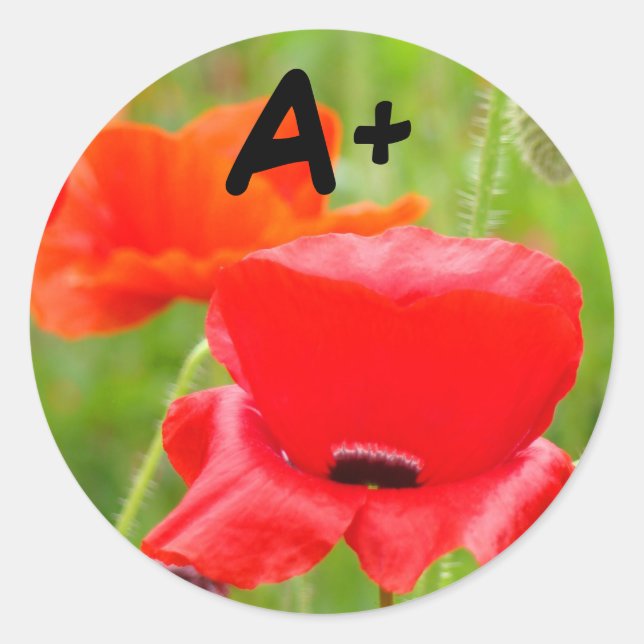 Autocollants A+ Fleur de coquelicot autocollant En (Devant)