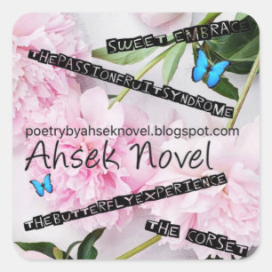 Autocollants Ahsek Novel 12