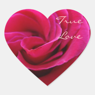 Autocollants Amour Véritable Fleurs Rose Rose Mari