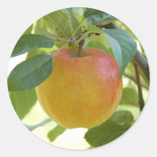 Autocollants Apple Prima