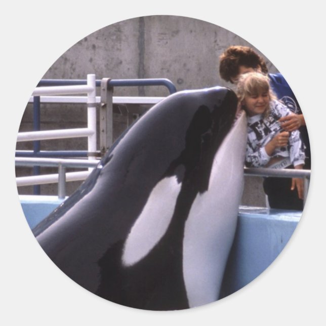 Autocollants aquatiques (Devant)