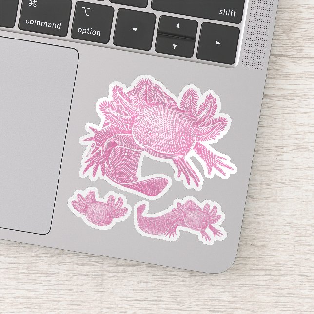 Autocollants Axolotl - ROSE - Lot de 3 (Détail)