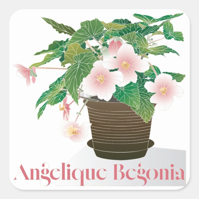 Autocollants Begonia (Devant)