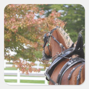 Autocollants belges du Cheval Brouillon