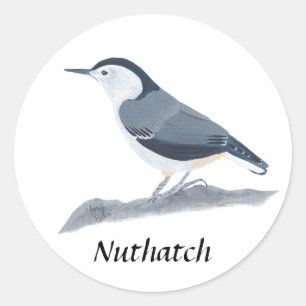 Autocollants blancs de peinture d'oiseau de