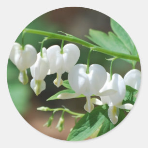 Autocollants blancs fleurissants de défenseur de