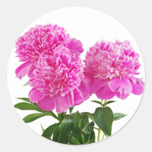 Autocollants Bouquet de Fleurs de Pivoine Rose