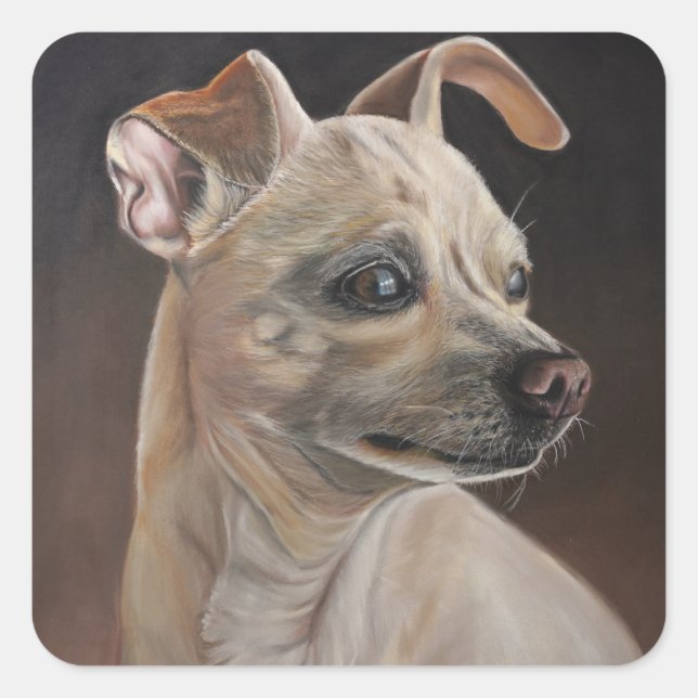 Autocollants Chihuahua (Devant)