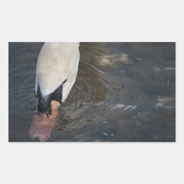 Autocollants Cygne (Devant)