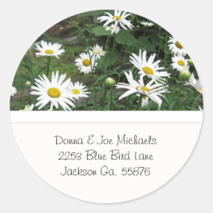Autocollants d'adresse de marguerites de Shasta