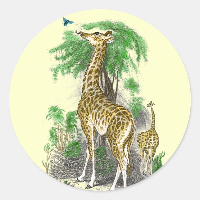 Autocollants d'anniversaire de girafe (Devant)