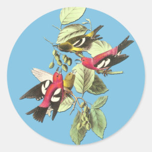 Autocollants d'art à ailes blanches Audubon