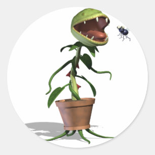 Autocollants d'attrape-mouche de Vénus