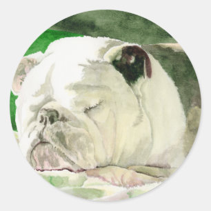 Autocollants de bouledogue de sommeil