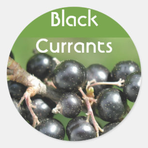Autocollants de cassis