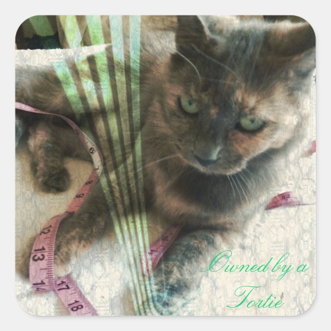 Autocollants de chat (Devant)