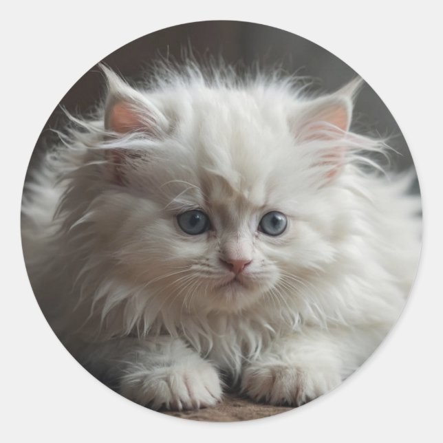 Autocollants de chat (Devant)