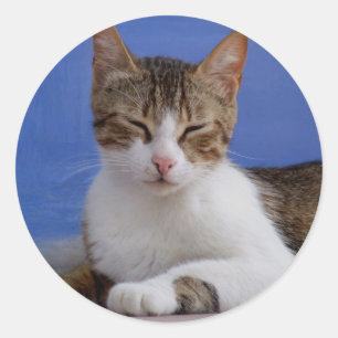 Autocollants de chat