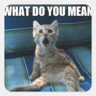 Autocollants de chat amusants