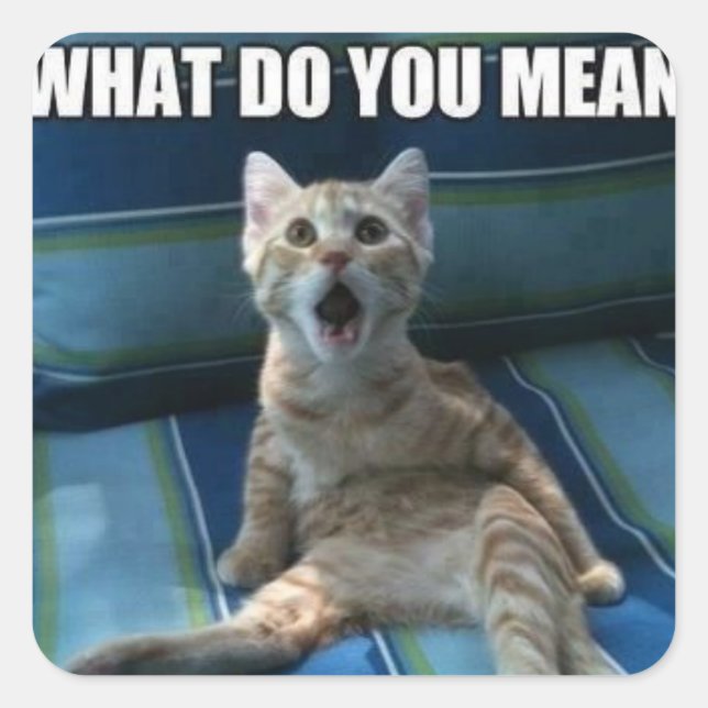 Autocollants de chat amusants (Devant)