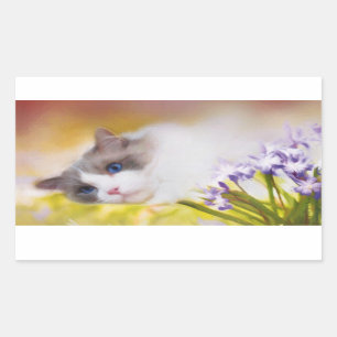 Autocollants de chat de Ragdoll