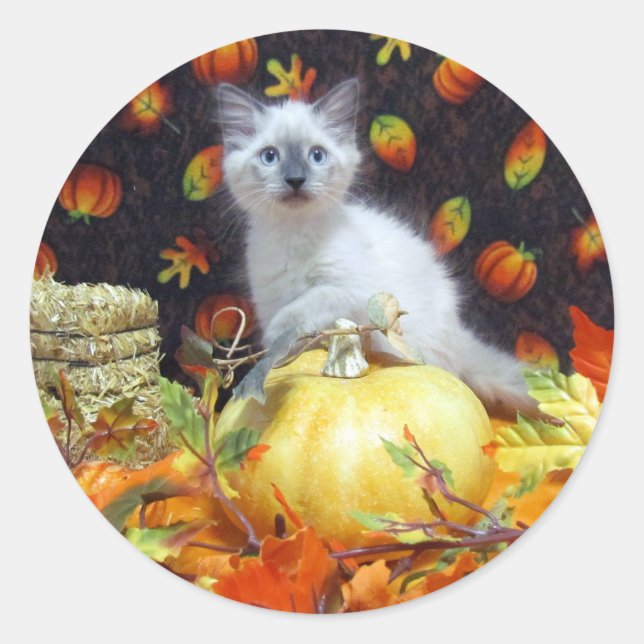 Autocollants de chat de Savannah pour l'automne et (Devant)