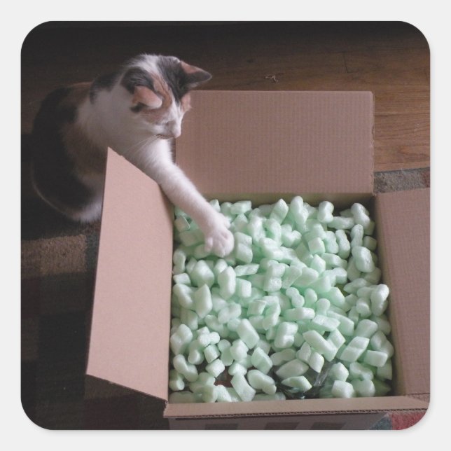 Autocollants de chat d'emballage (Devant)