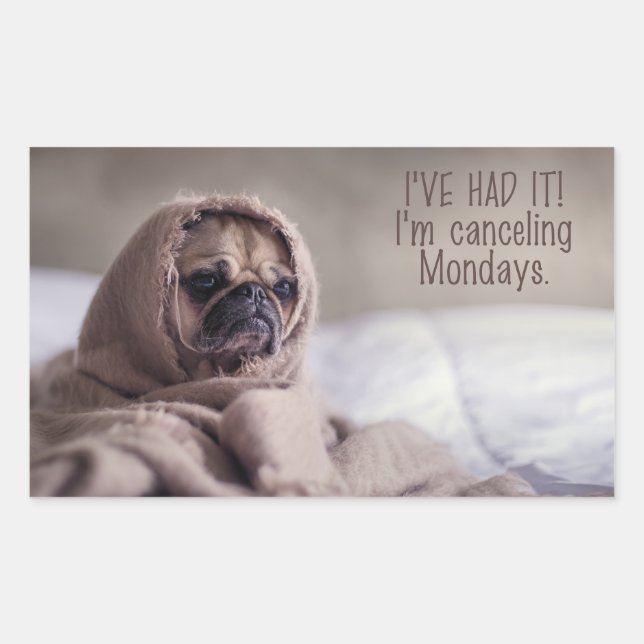 Autocollants de chien amusant (Devant)