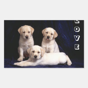Autocollants de chien chiot Labrador Retriever jau
