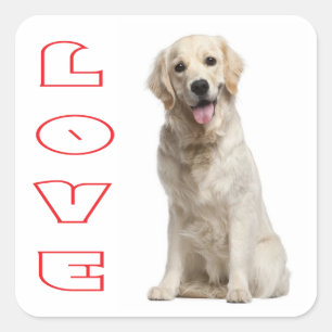 Autocollants de chien chiot Retriever doré Love