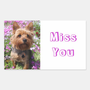 Autocollants de chien chiot Yorkshire Terrier Tu M
