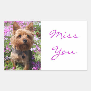 Autocollants de chien chiot Yorkshire Terrier Tu M