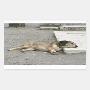 Autocollants de chien fatigué, personnaliser