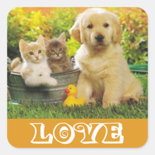 Autocollants de chiots Golden Retriever adorables