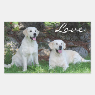 Autocollants de chiots Retriever doré adorables