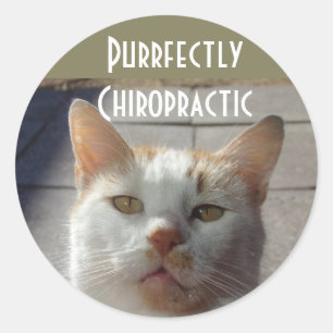 Autocollants de chiropractie de Purrfectly