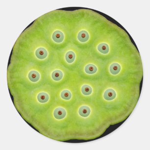 Autocollants de cosse de Lotus